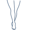 Legs